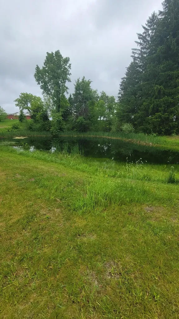 23580 22 Mile Road Green Charter Township MI 49338
