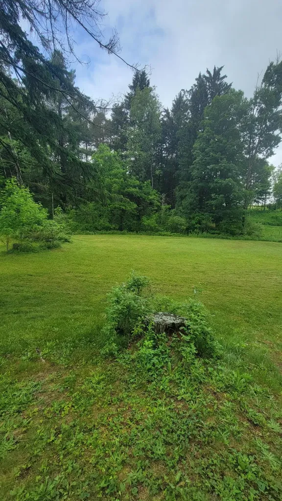 23580 22 Mile Road Green Charter Township MI 49338