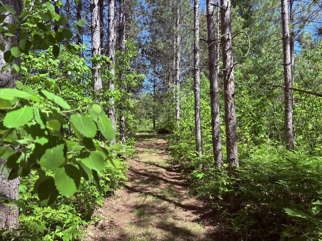 5962 11 Mile Road Beaver Township MI 49309