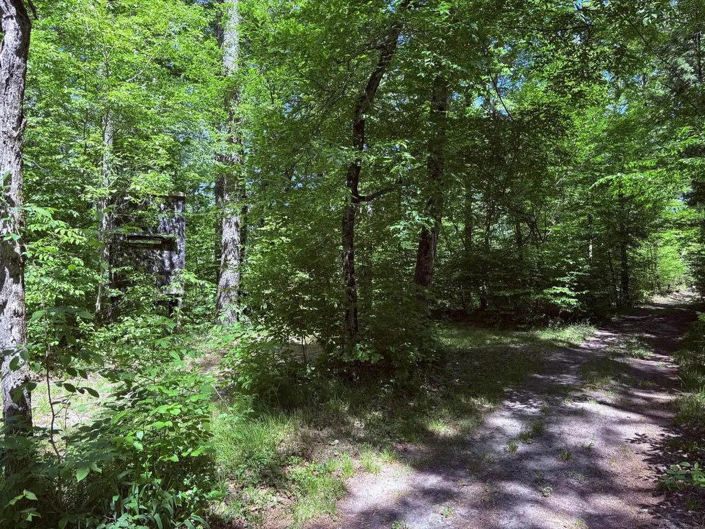 5962 11 Mile Road Beaver Township MI 49309