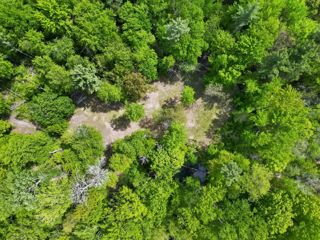 5962 11 Mile Road Beaver Township MI 49309