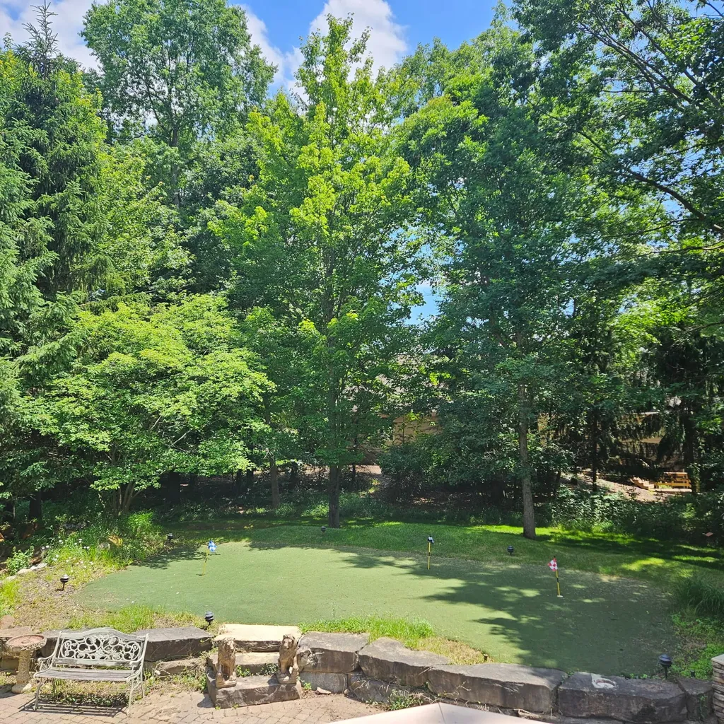 6245 Dublin Drive Morton Township MI 49346