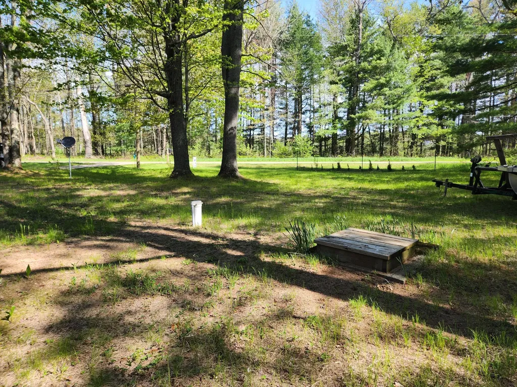 1041 Wolf Lake Drive Peacock Township MI 49304