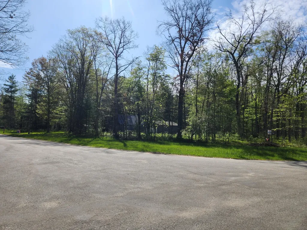 1041 Wolf Lake Drive Peacock Township MI 49304