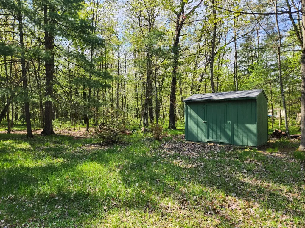 1041 Wolf Lake Drive Peacock Township MI 49304