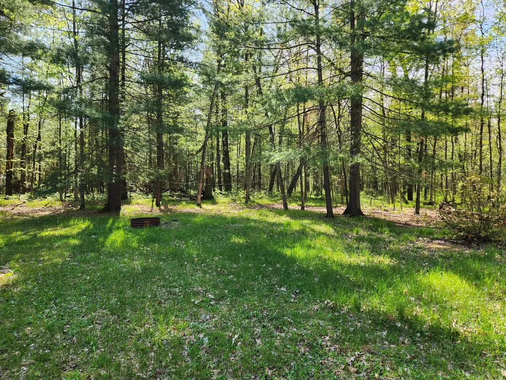 1041 Wolf Lake Drive Peacock Township MI 49304