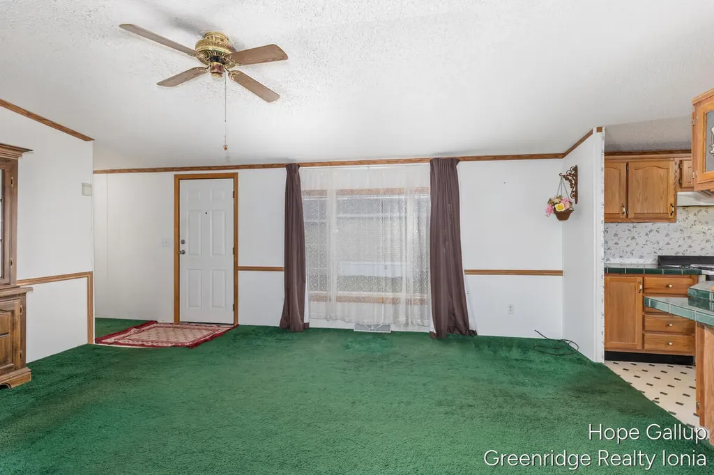 360 E Tuttle Road Ionia City MI 48846