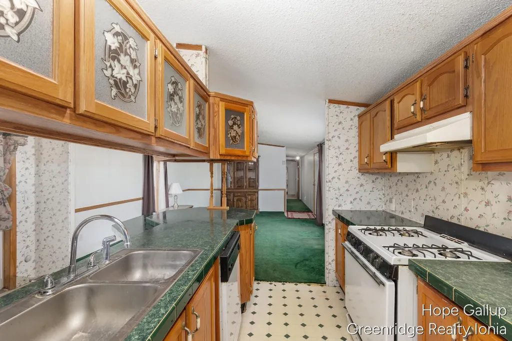 360 E Tuttle Road Ionia City MI 48846