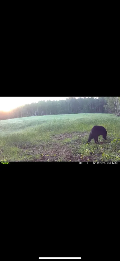 13980 12 Mile Sheridan Township MI 49340