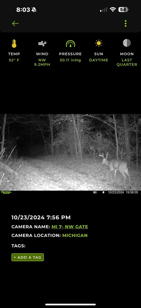 13980 12 Mile Sheridan Township MI 49340