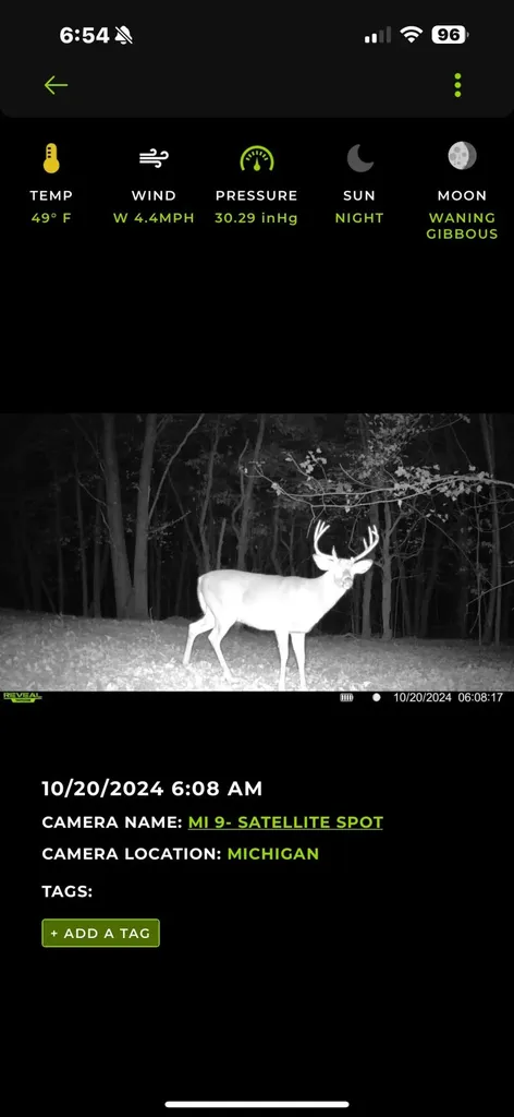 13980 12 Mile Sheridan Township MI 49340