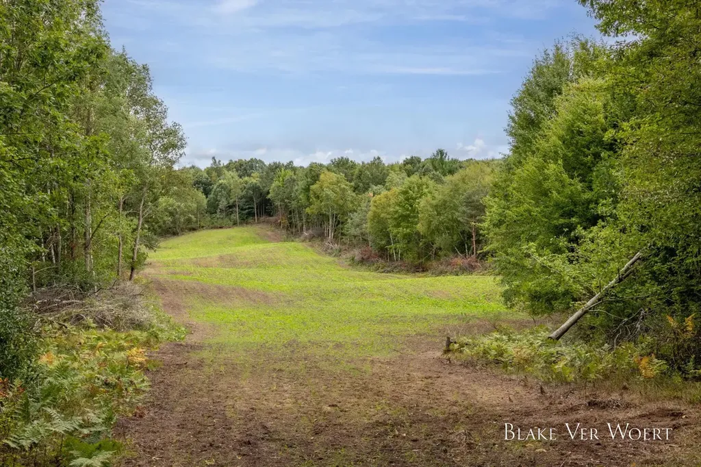 13980 12 Mile Sheridan Township MI 49340