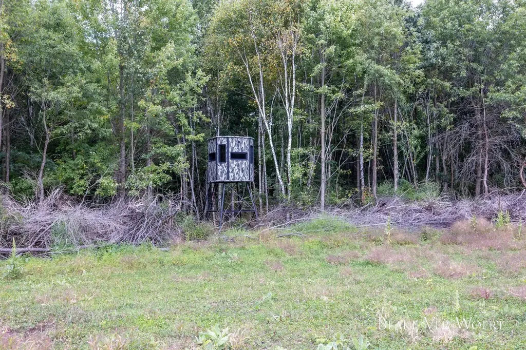 13980 12 Mile Sheridan Township MI 49340