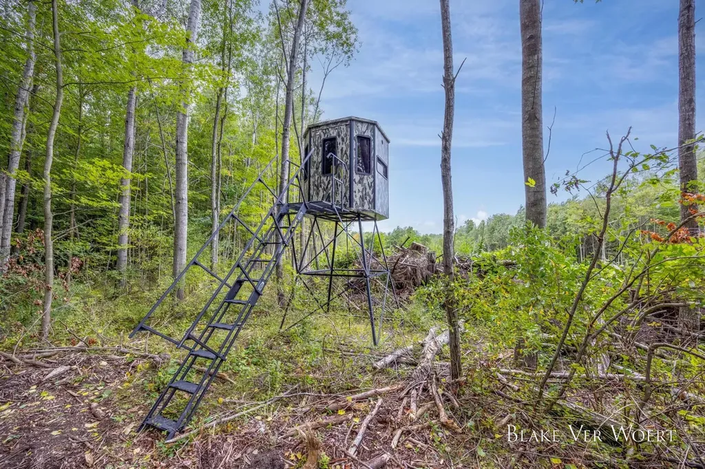 13980 12 Mile Sheridan Township MI 49340