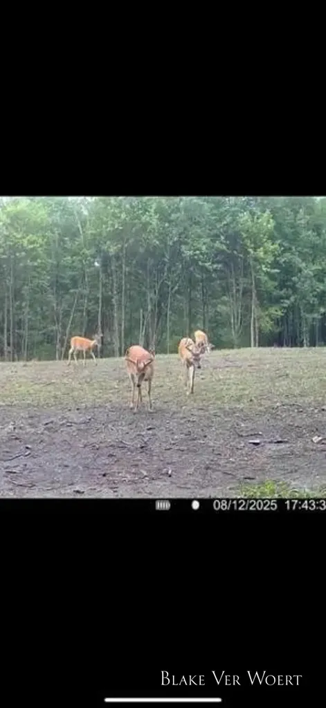 13980 12 Mile Sheridan Township MI 49340