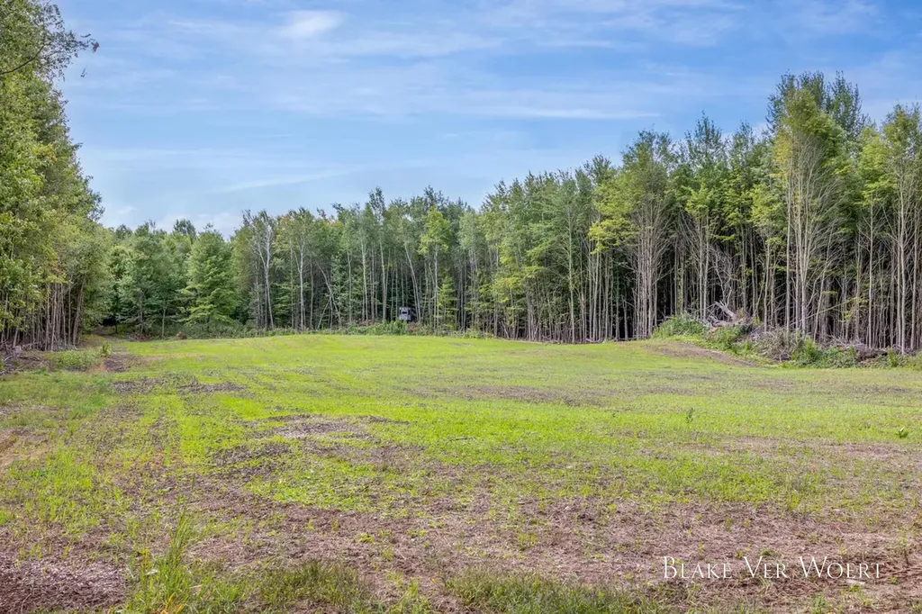 13980 12 Mile Sheridan Township MI 49340