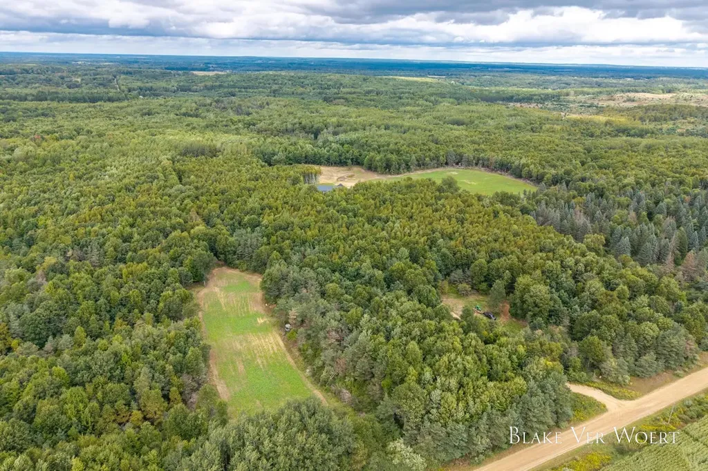13980 12 Mile Sheridan Township MI 49340