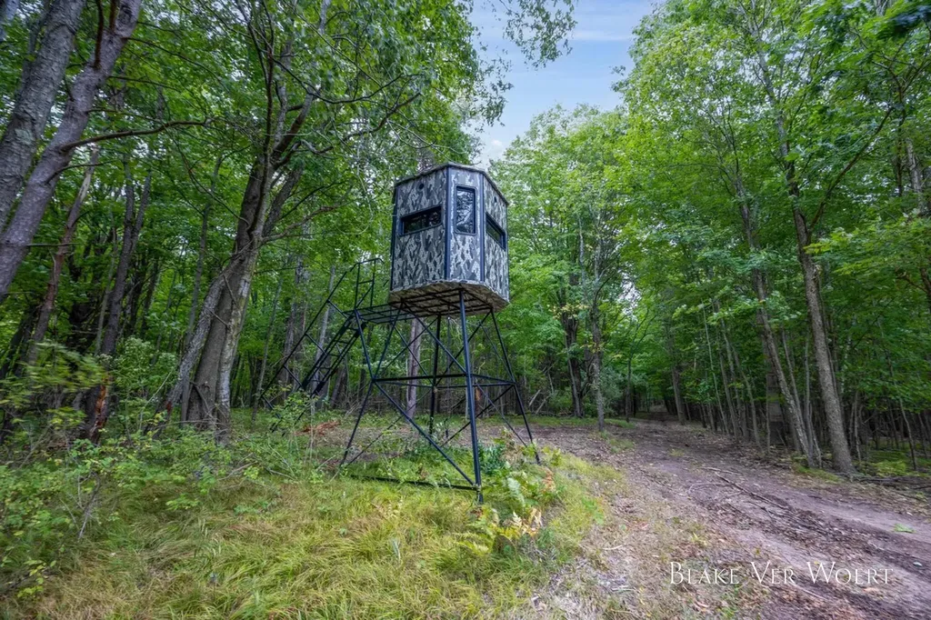 13980 12 Mile Sheridan Township MI 49340
