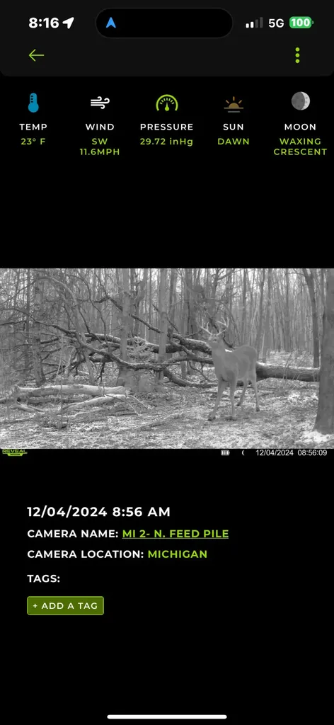 13980 12 Mile Sheridan Township MI 49340