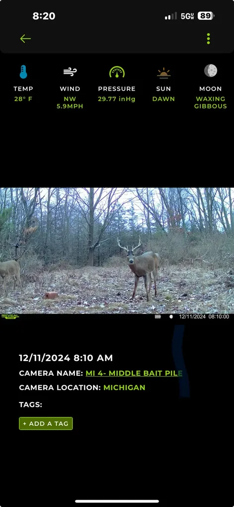 13980 12 Mile Sheridan Township MI 49340