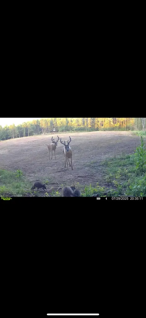 13980 12 Mile Sheridan Township MI 49340