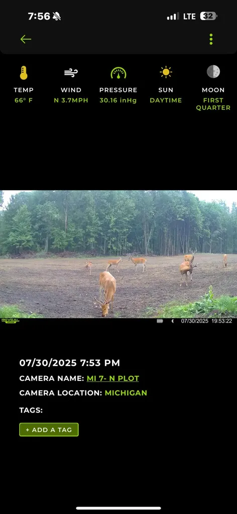 13980 12 Mile Sheridan Township MI 49340
