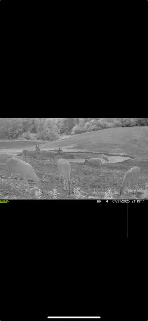 13980 12 Mile Sheridan Township MI 49340