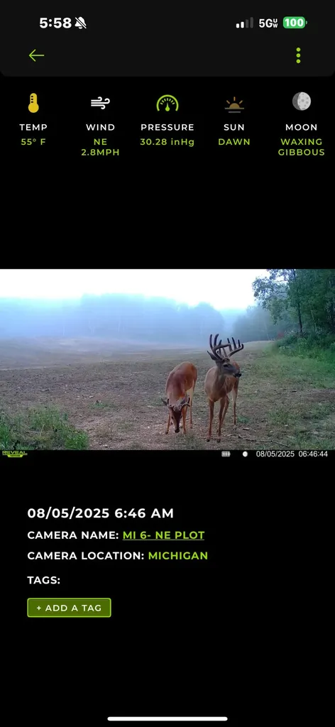 13980 12 Mile Sheridan Township MI 49340