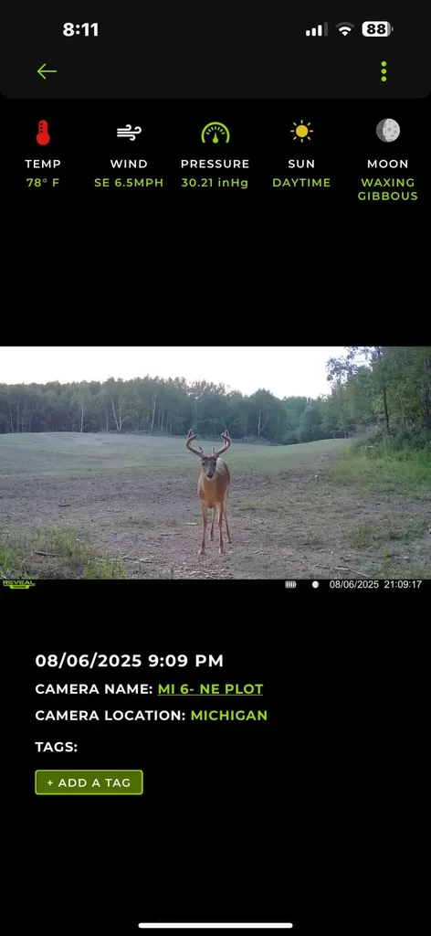 13980 12 Mile Sheridan Township MI 49340