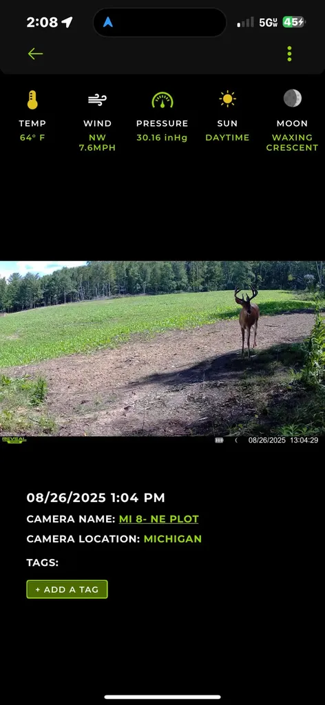 13980 12 Mile Sheridan Township MI 49340