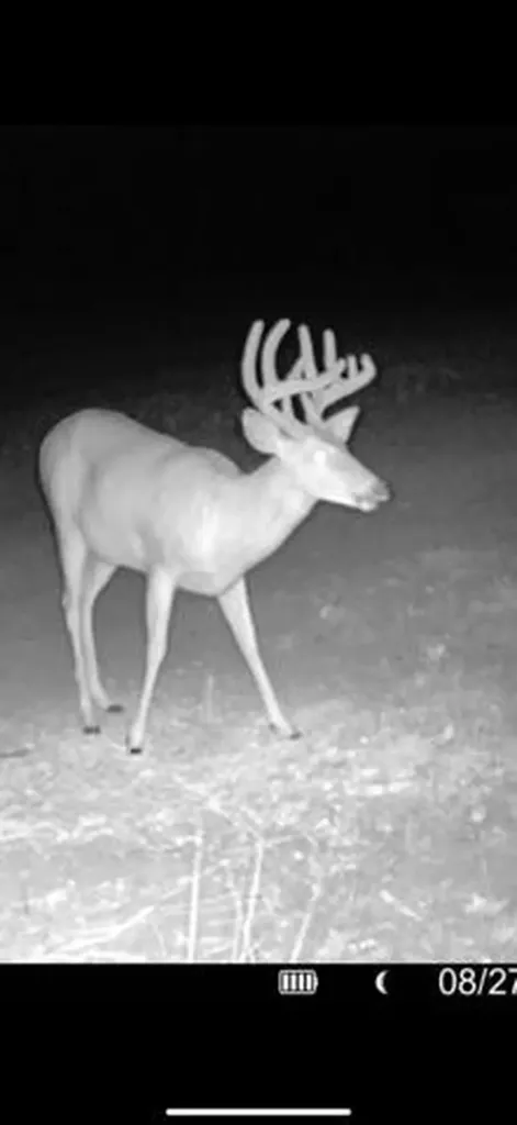 13980 12 Mile Sheridan Township MI 49340
