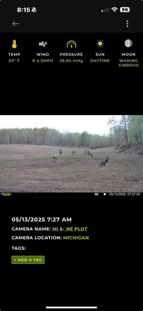13980 12 Mile Sheridan Township MI 49340