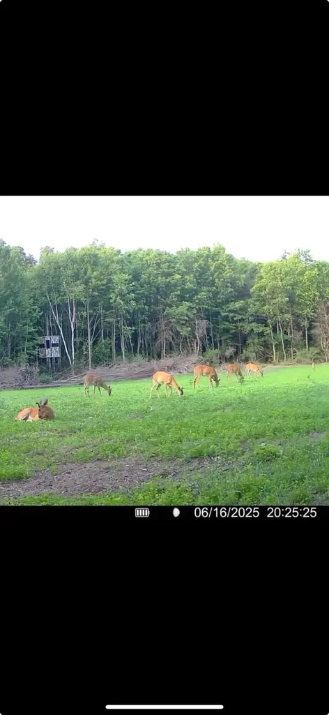 13980 12 Mile Sheridan Township MI 49340