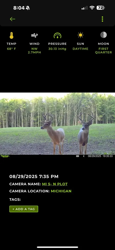 13980 12 Mile Sheridan Township MI 49340