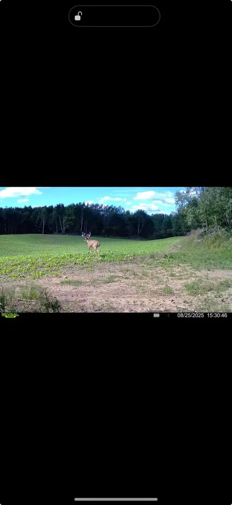 13980 12 Mile Sheridan Township MI 49340