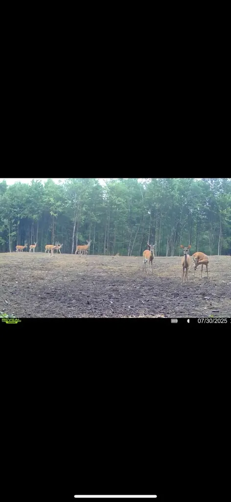 13980 12 Mile Sheridan Township MI 49340