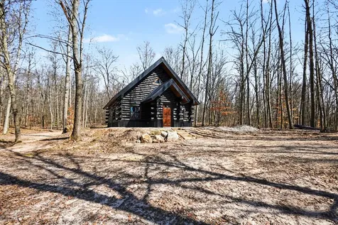 10338 Alpine Drive Cedar Township MI 49677