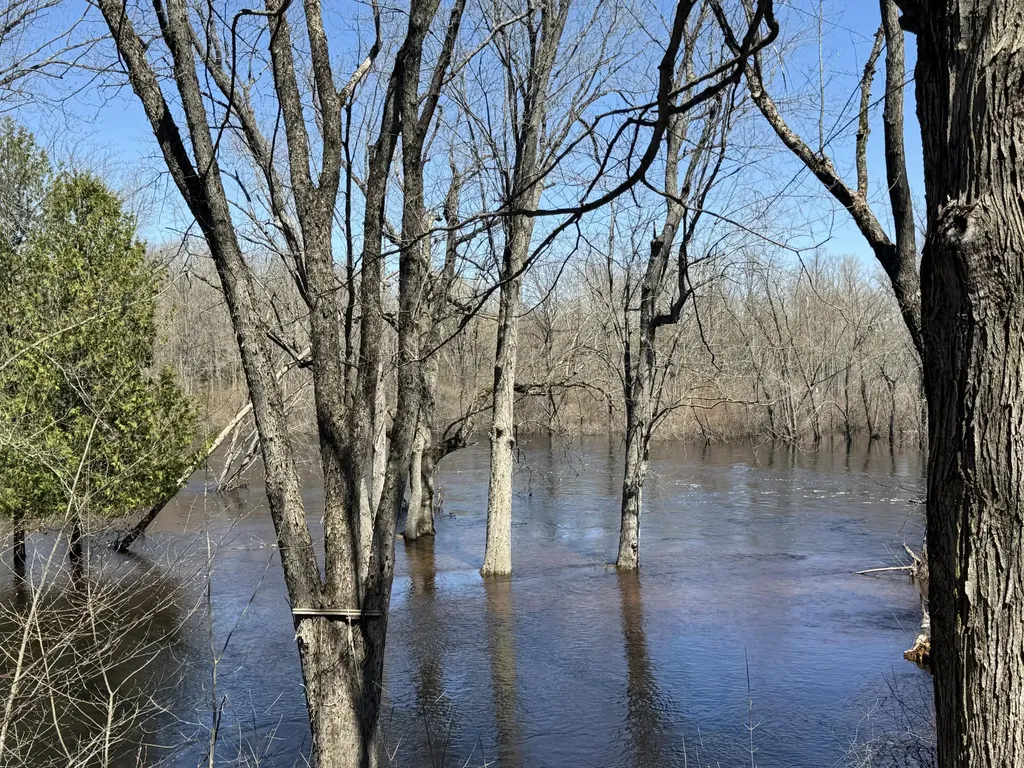 5084 Sandy Run Road Sylvan Township MI 49679