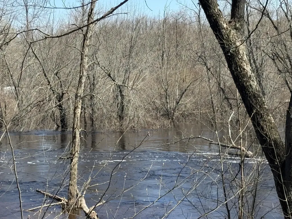 5084 Sandy Run Road Sylvan Township MI 49679