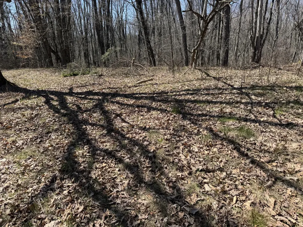 5084 Sandy Run Road Sylvan Township MI 49679