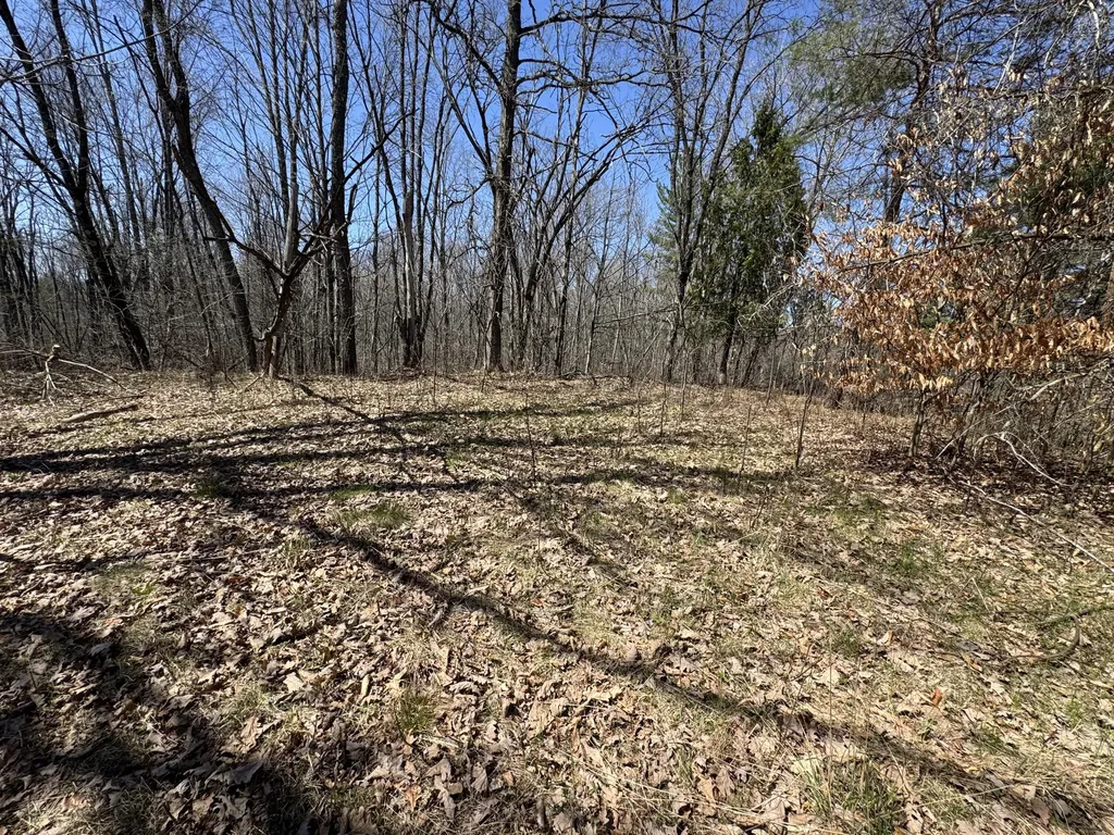 5084 Sandy Run Road Sylvan Township MI 49679