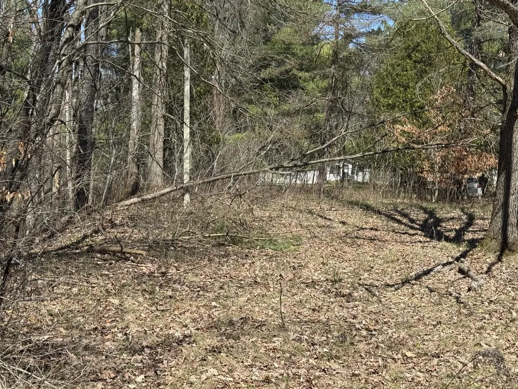 5084 Sandy Run Road Sylvan Township MI 49679
