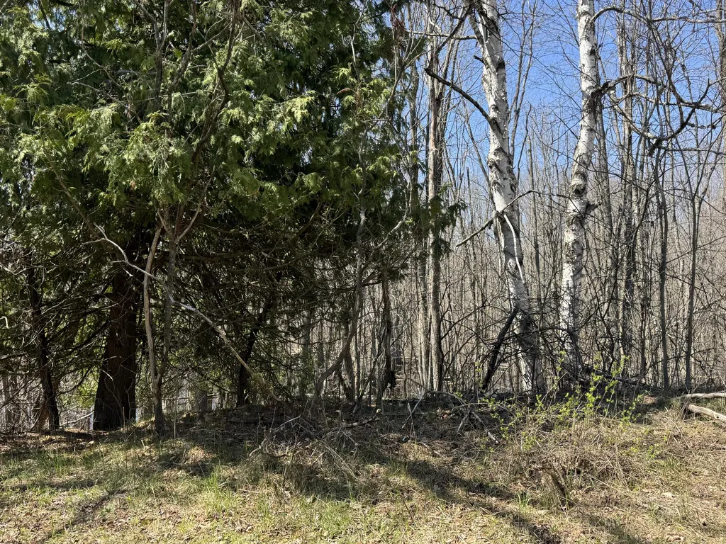 5084 Sandy Run Road Sylvan Township MI 49679