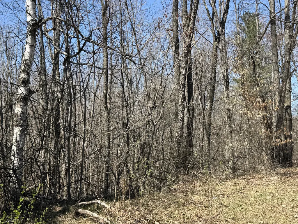 5084 Sandy Run Road Sylvan Township MI 49679