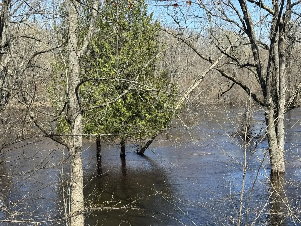 5084 Sandy Run Road Sylvan Township MI 49679