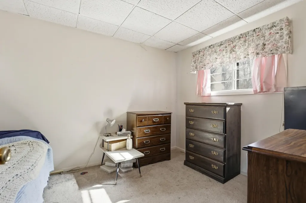 15359 N Clear Lake Drive Colfax Township MI 49307