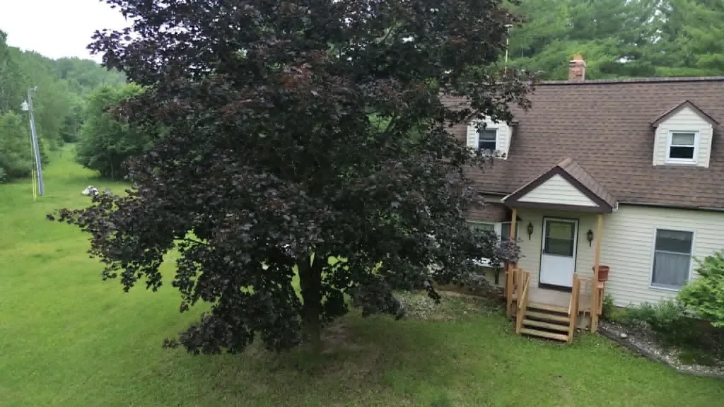 21632 90th Avenue Chippewa Township MI 49631