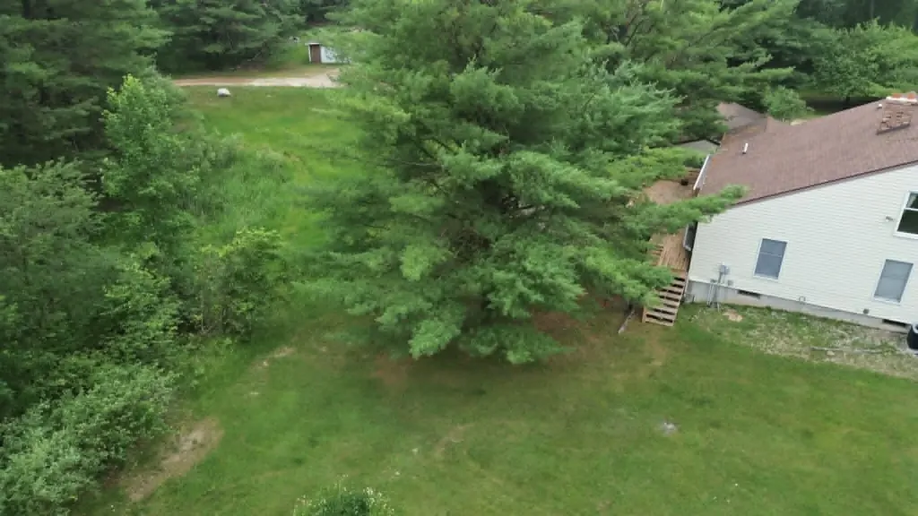 21632 90th Avenue Chippewa Township MI 49631