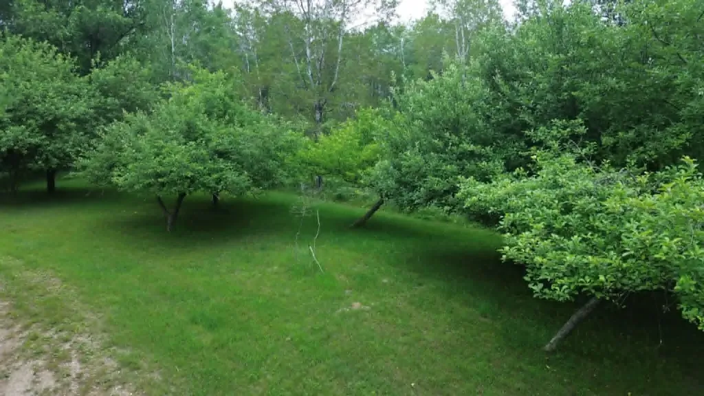21632 90th Avenue Chippewa Township MI 49631