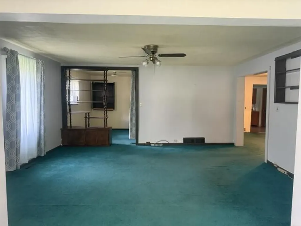 217 John Street Newaygo City MI 49337